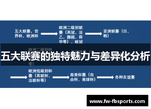 五大联赛的独特魅力与差异化分析