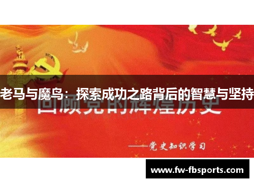 老马与魔鸟：探索成功之路背后的智慧与坚持