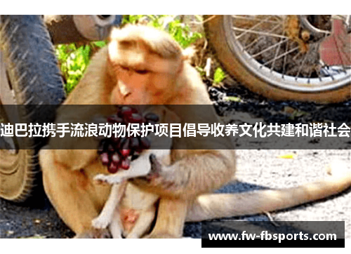 迪巴拉携手流浪动物保护项目倡导收养文化共建和谐社会