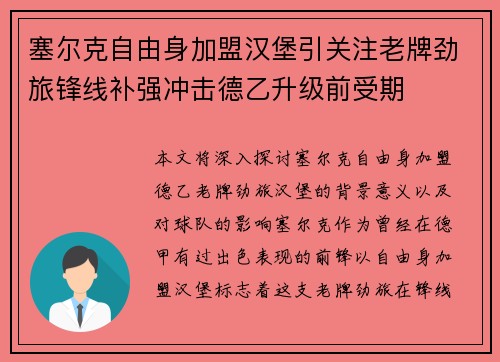 塞尔克自由身加盟汉堡引关注老牌劲旅锋线补强冲击德乙升级前受期